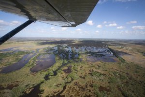 Everglades