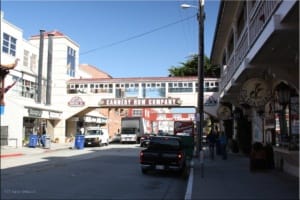 Monterey, Cannery Row