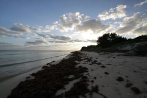Bahia Honda State Park