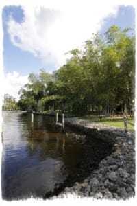 Edison's Waterfront