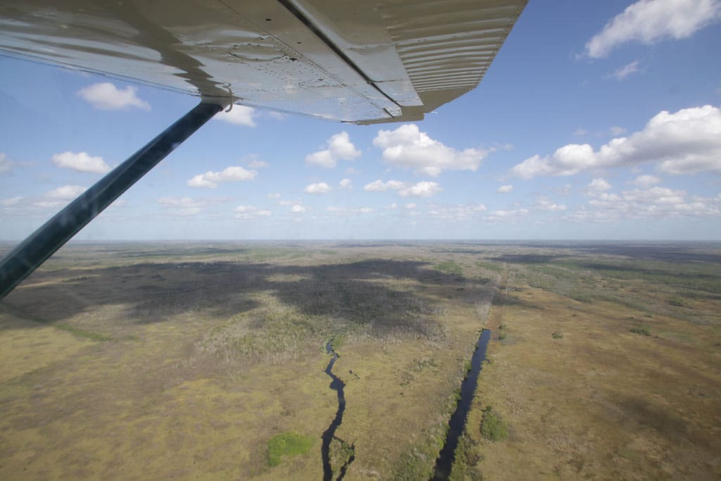 Marschland im Everglades National Park