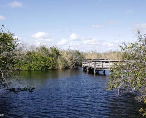 Anhinga Trail