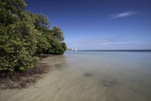 Anne's Beach