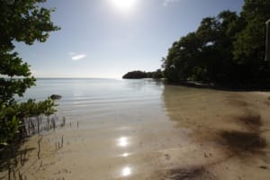 Anne's Beach