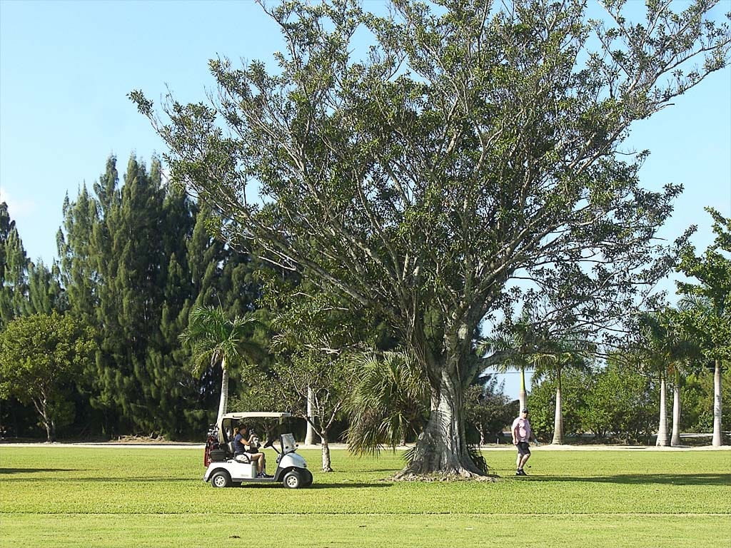 Mit Golfcart unterwegs