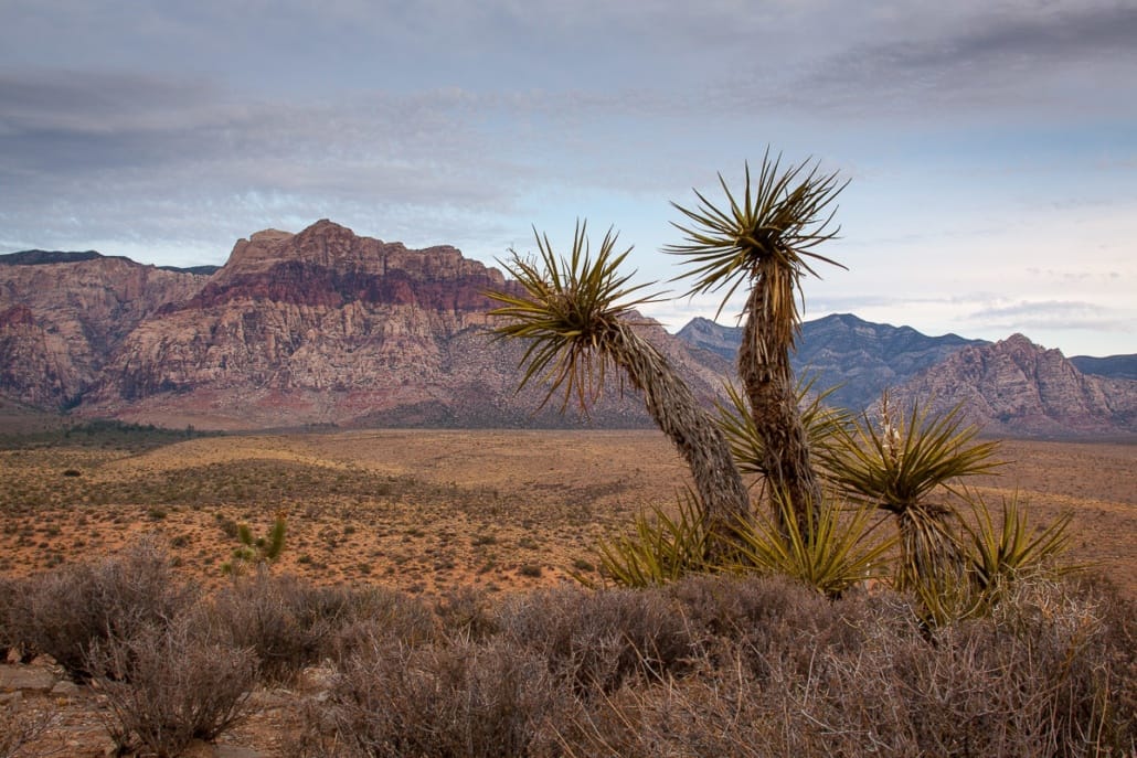 Red Rock Canyon