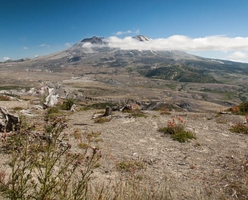 Mt. St. Helens