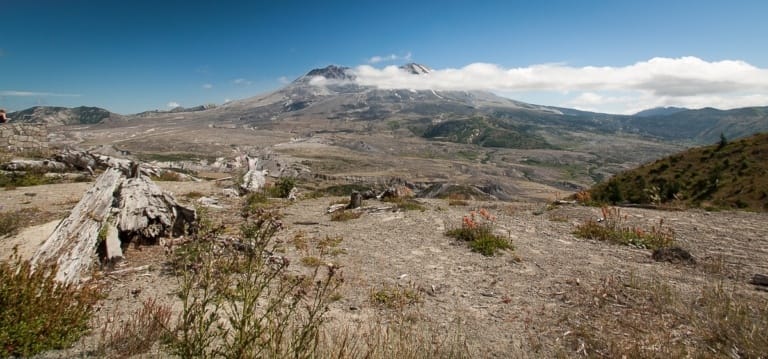 Mt. St. Helens