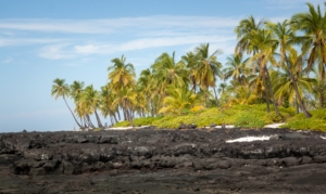 Big Island Hawai'i