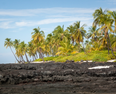 Big Island Hawai'i