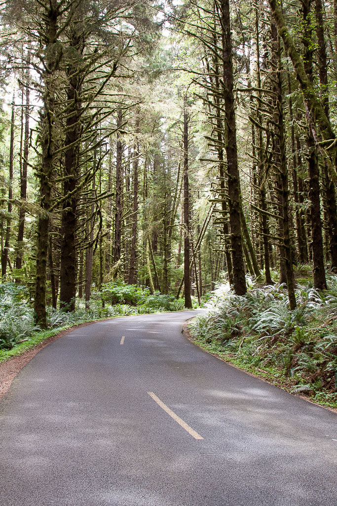 Straße zum Ecola State Park