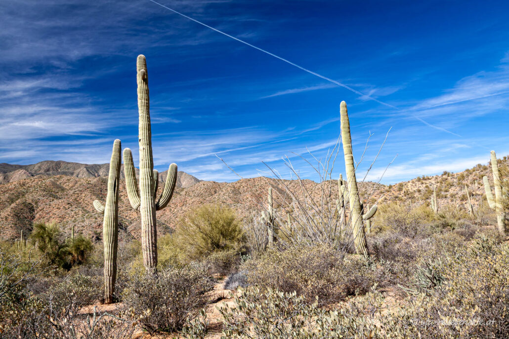 Landschaft entlang des Apache Trail