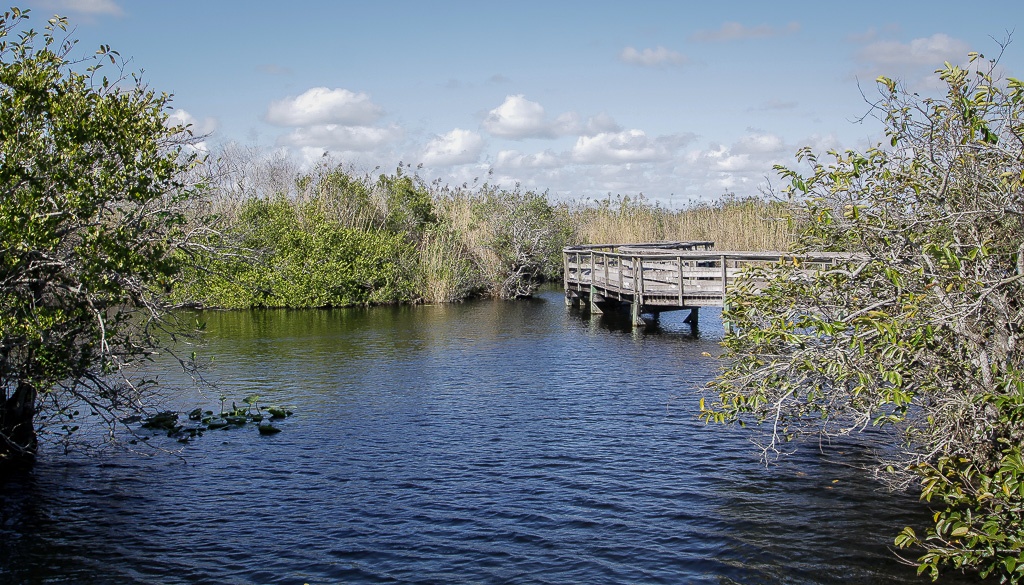 Anhinga Trail