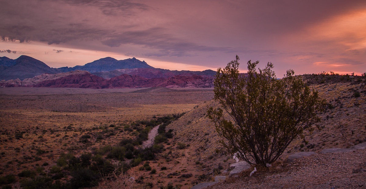 Sonnenaufgang in der Nevada Desert