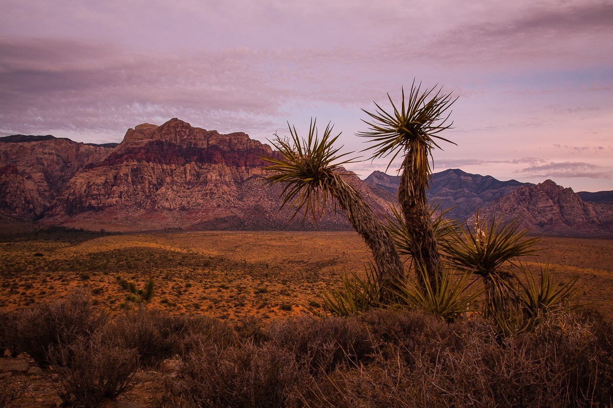 Blick zum Calico Rock