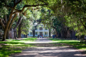 Rosewood Plantation