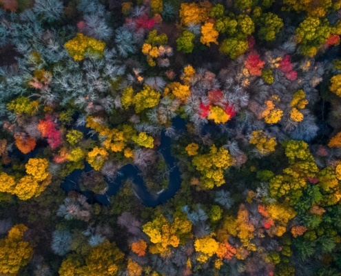 Indian Summer